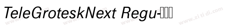 TeleGroteskNext Regu字体转换